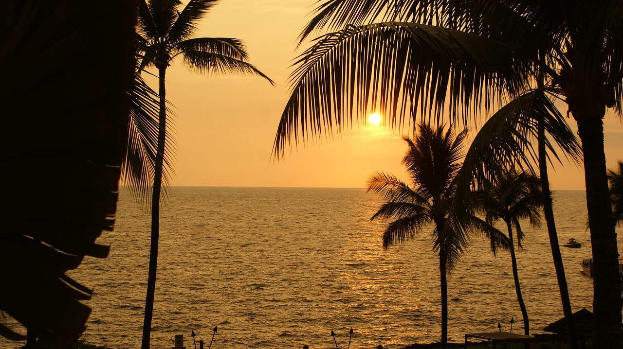 beach nature sunset free photo