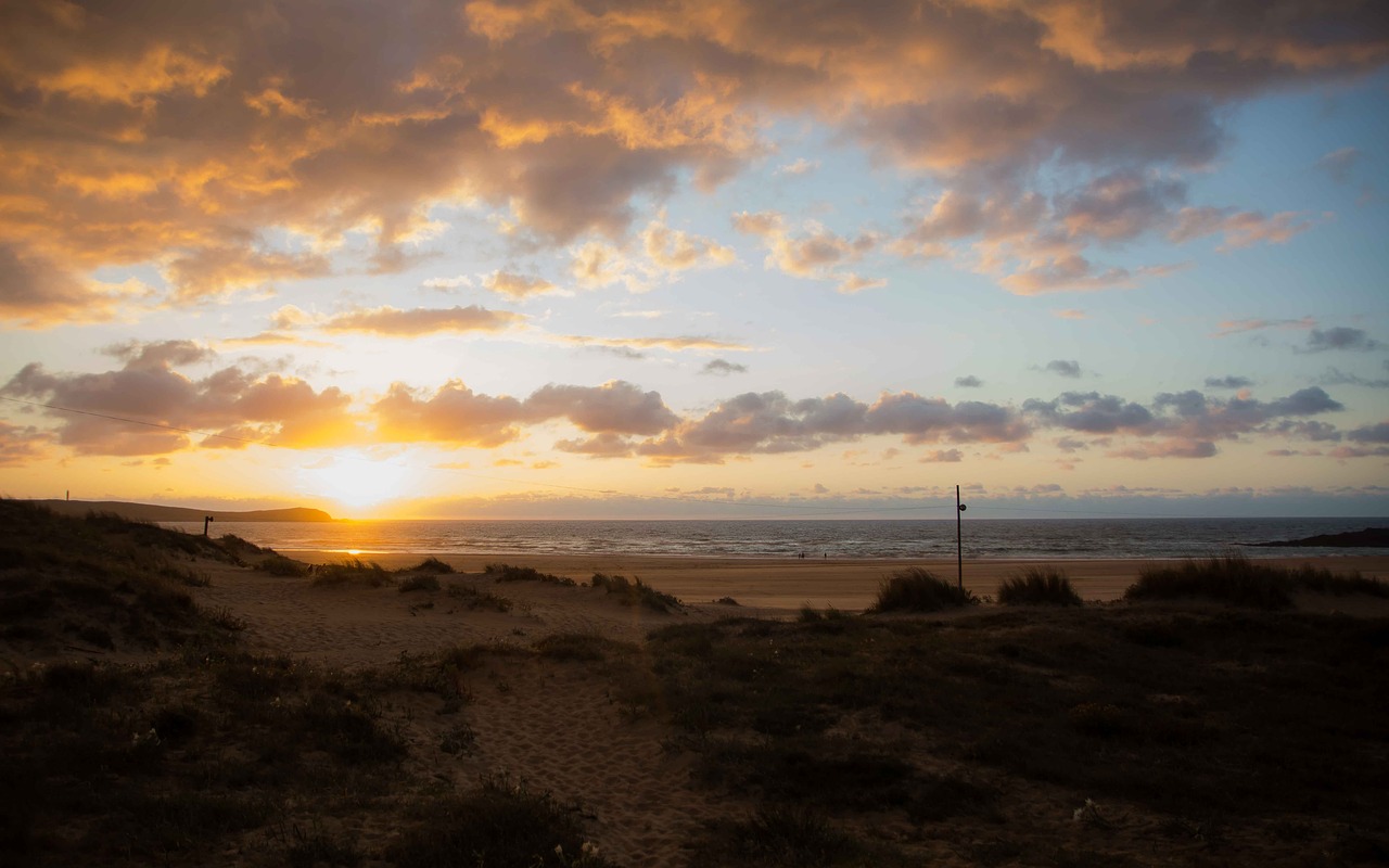 beach summer sun free photo