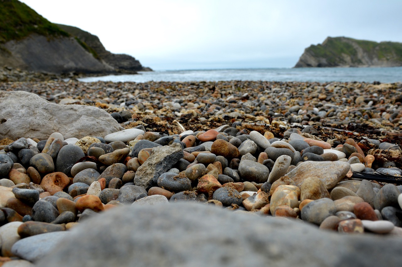 beach pebble coast free photo