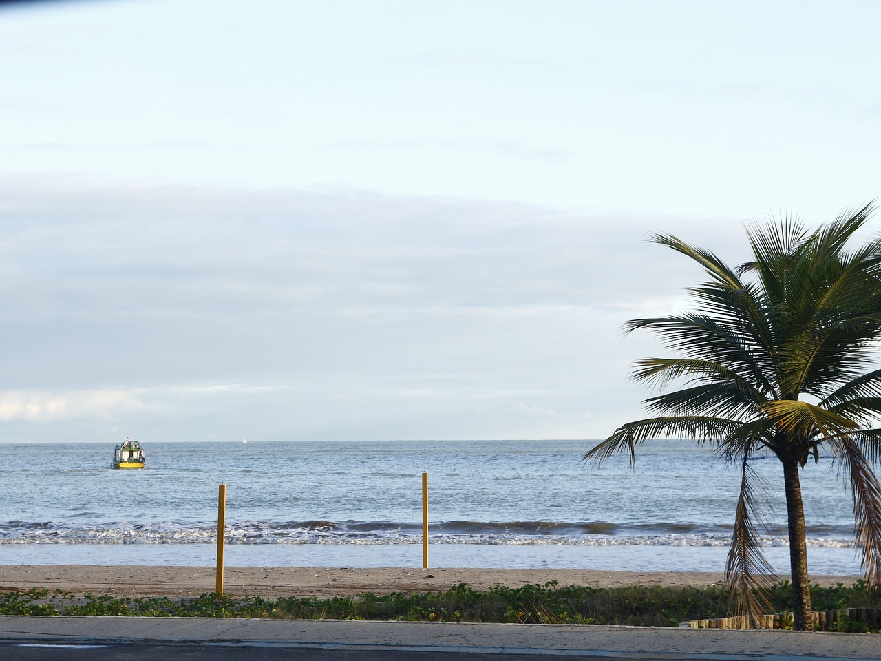 beach sol coconut tree free photo