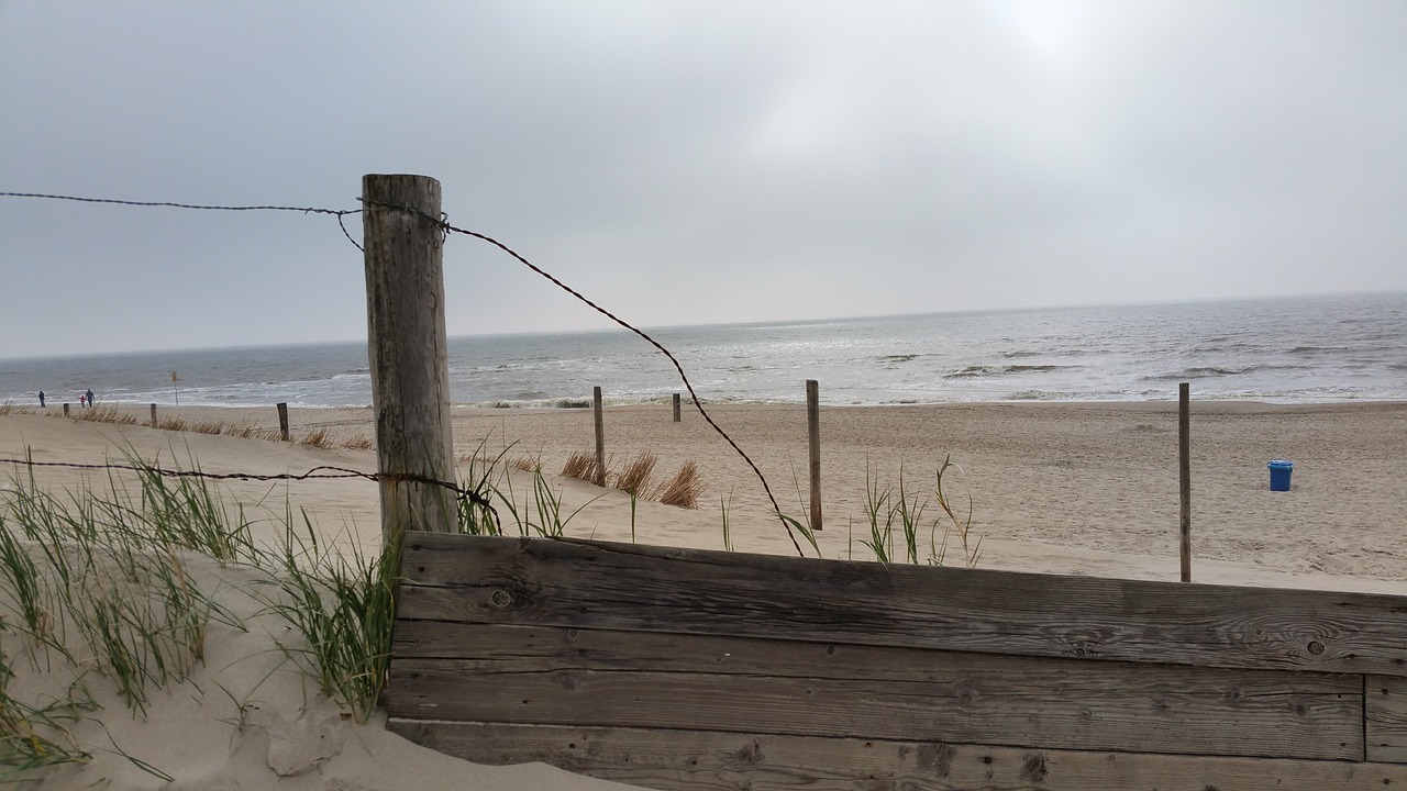 beach empty beach wooden planks free photo