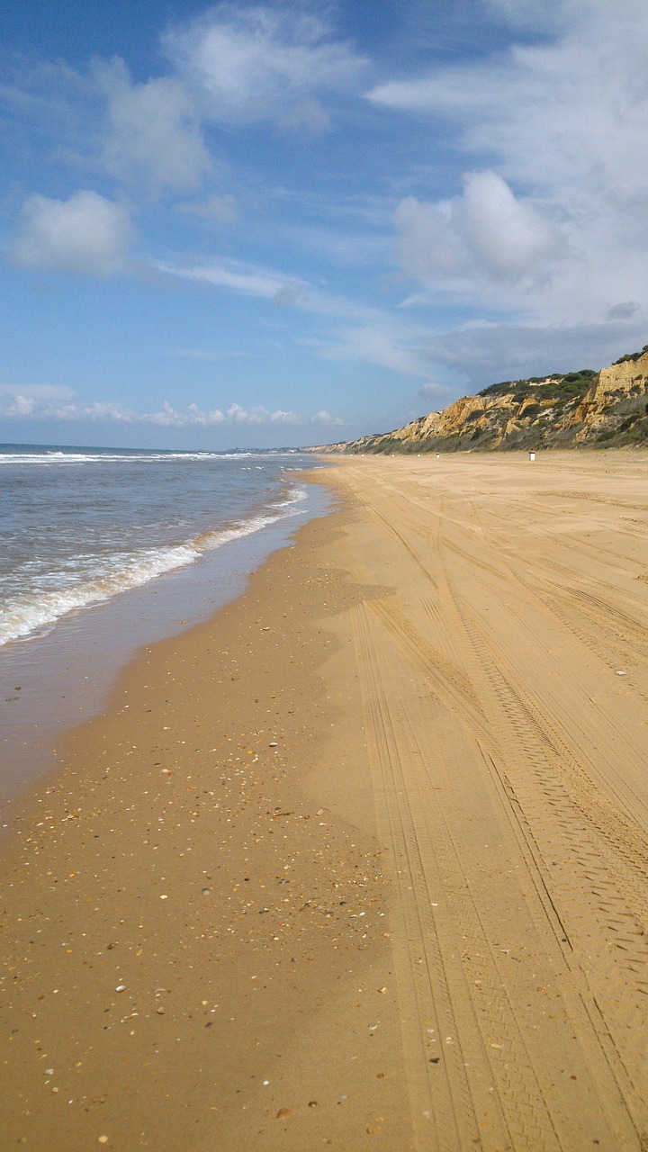 beach doñana sand free photo