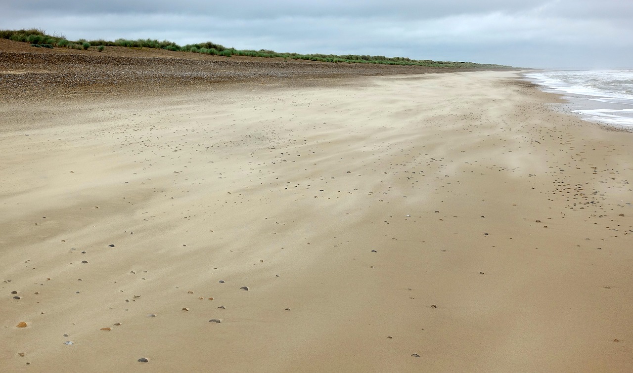 beach empty sand free photo