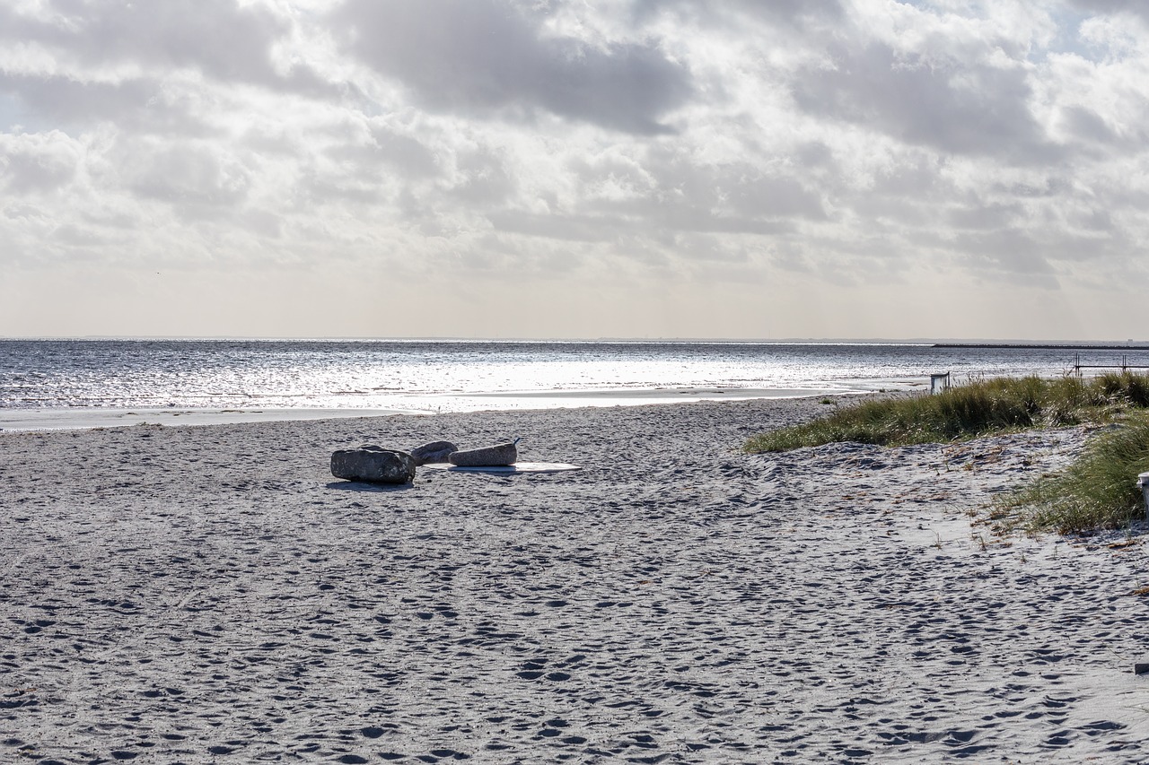 beach hundige autumn free photo