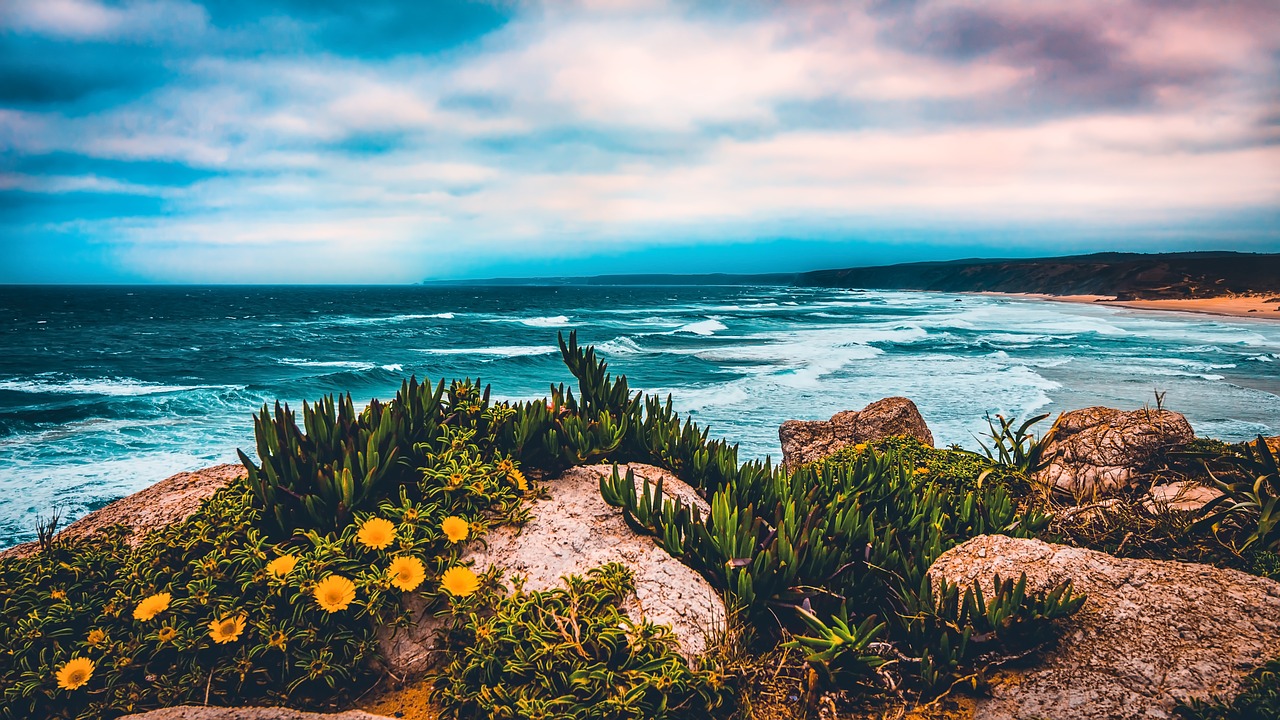 beach coastline ocean free photo