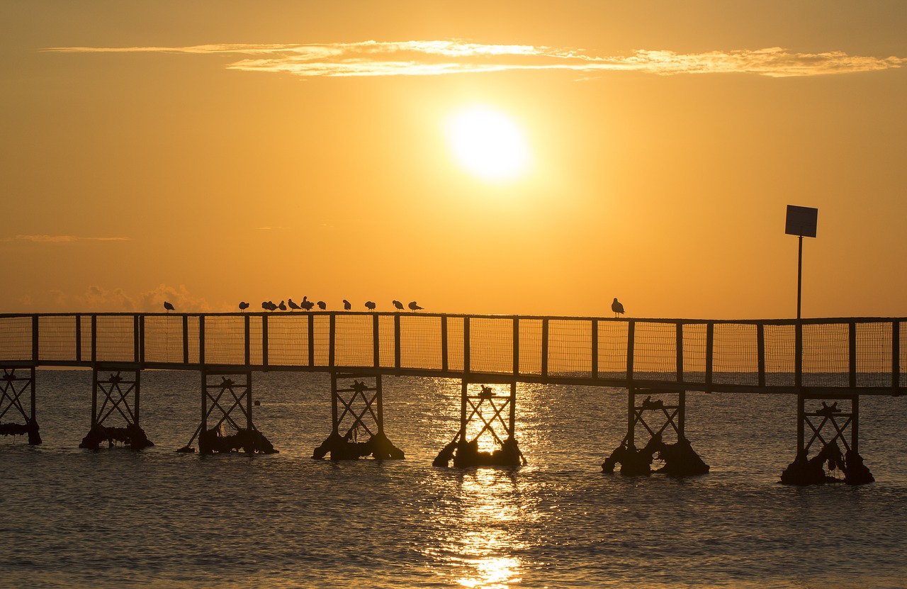 beach sunrise sea free photo