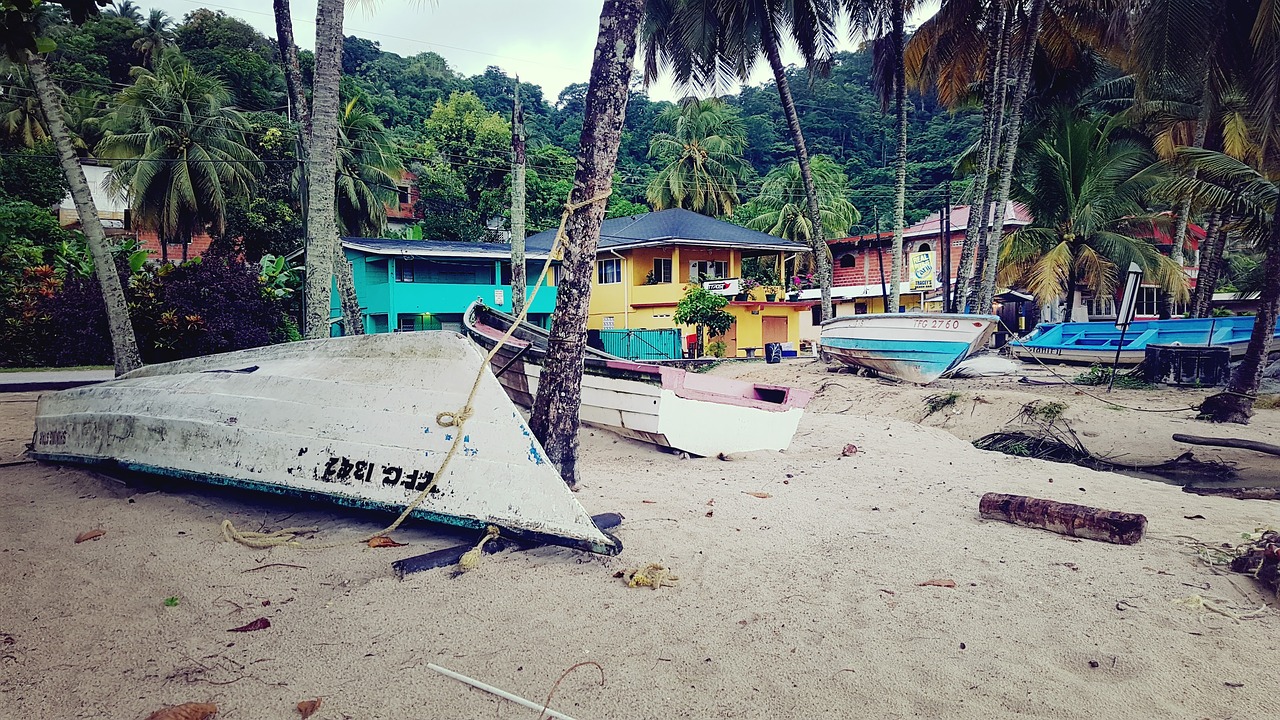 beach boats boat free photo