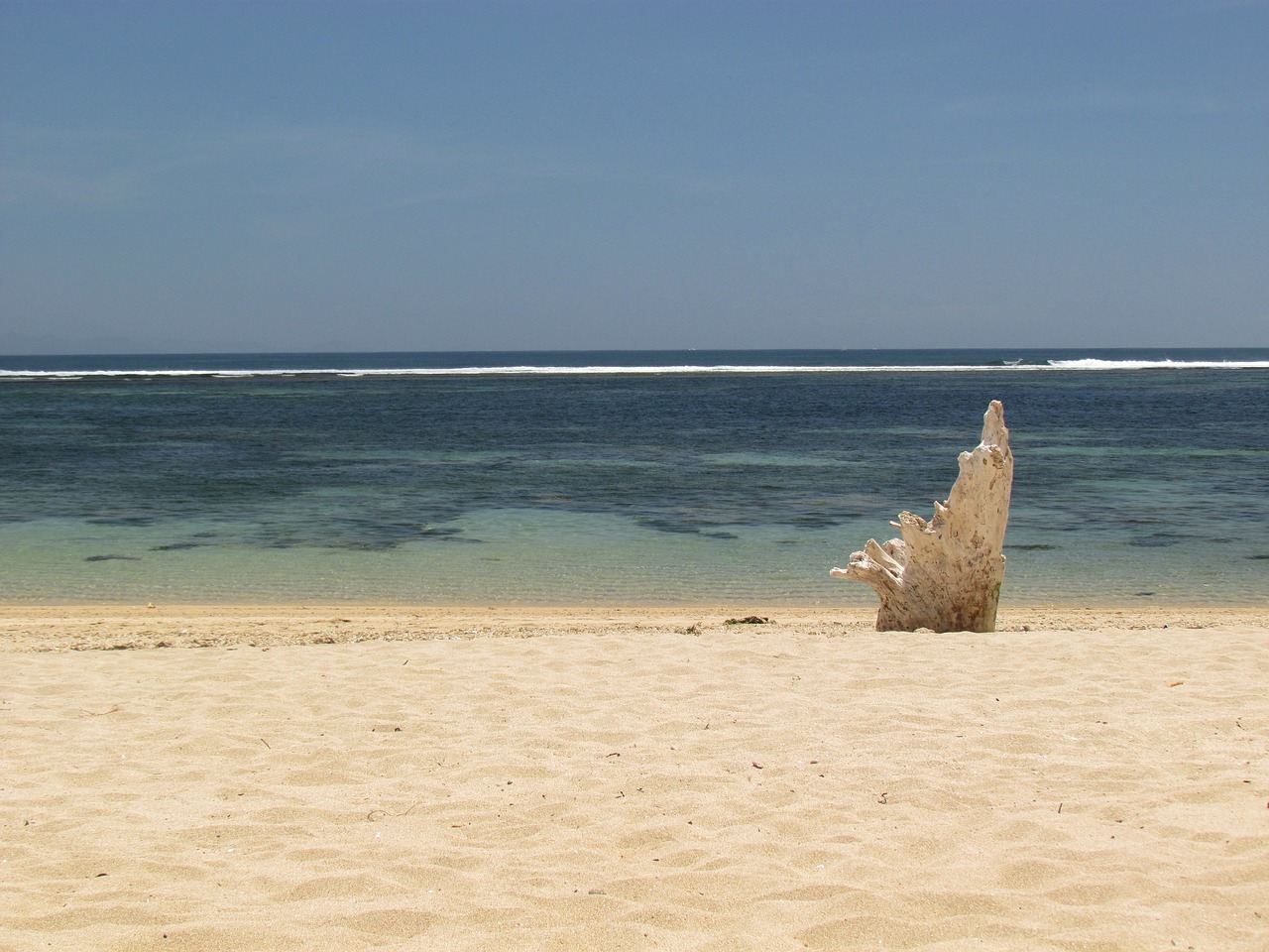 beach sea water free photo