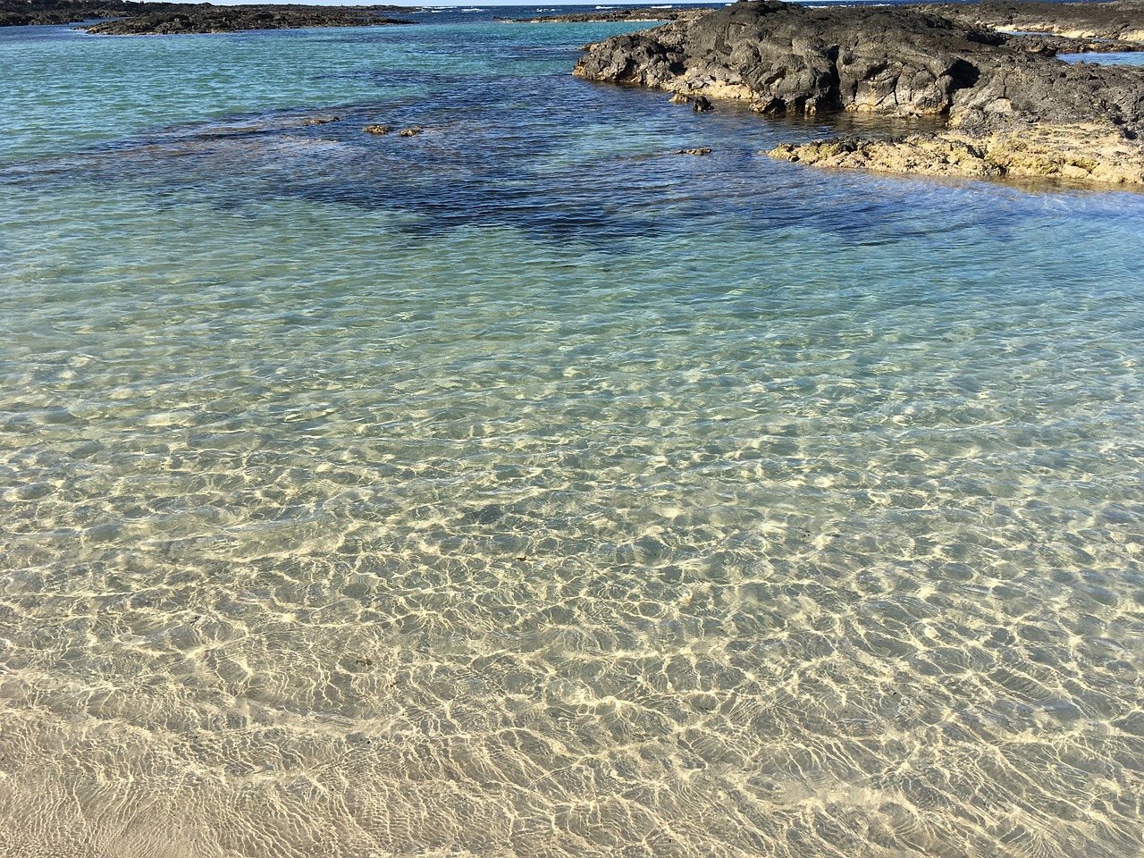 beach sea crystalline free photo