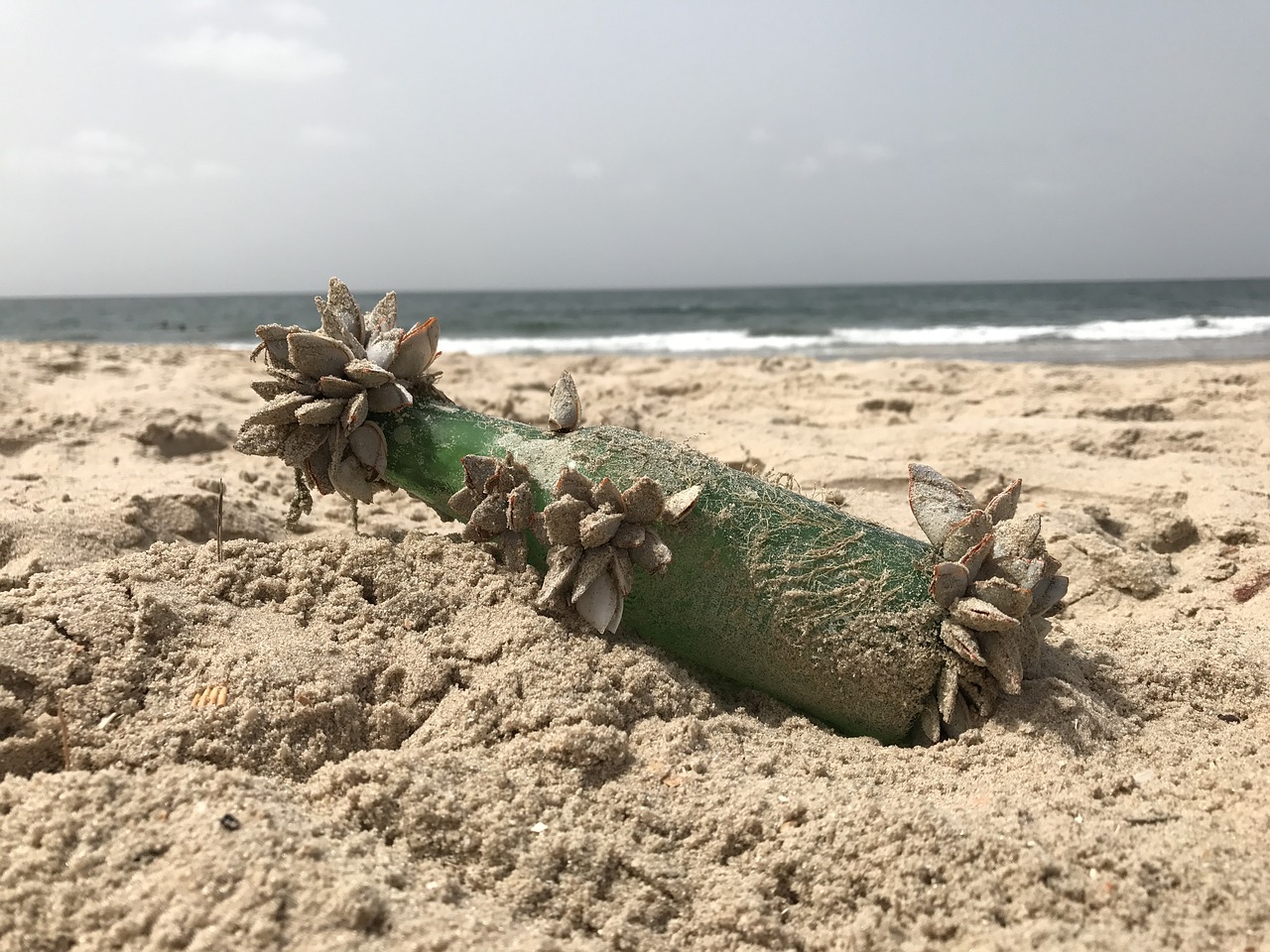 beach sea message in a bottle free photo