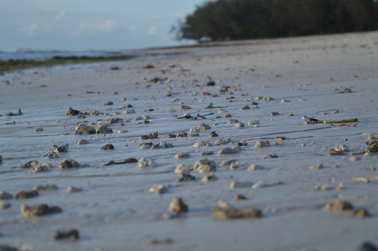 beach cloudy sea free photo