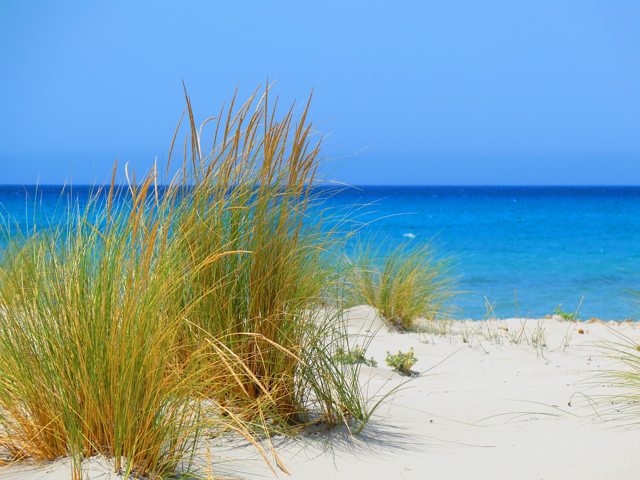 beach sardinia sea free photo