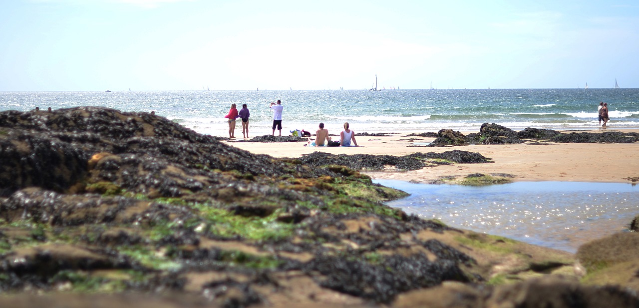 beach ocean holiday free photo