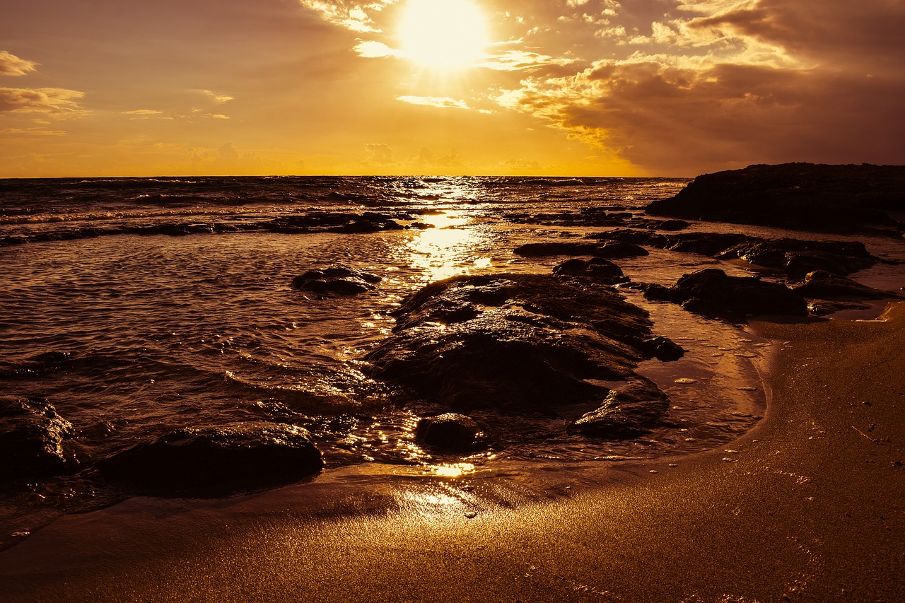 beach coast sunset free photo