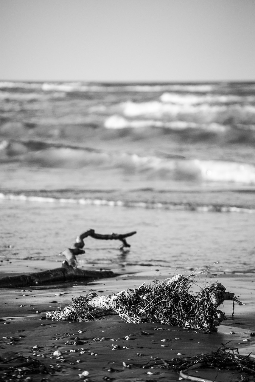 beach sea storm waves free photo