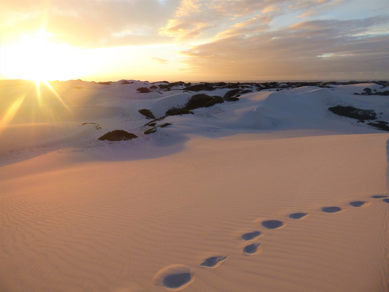 beach dawn sand free photo