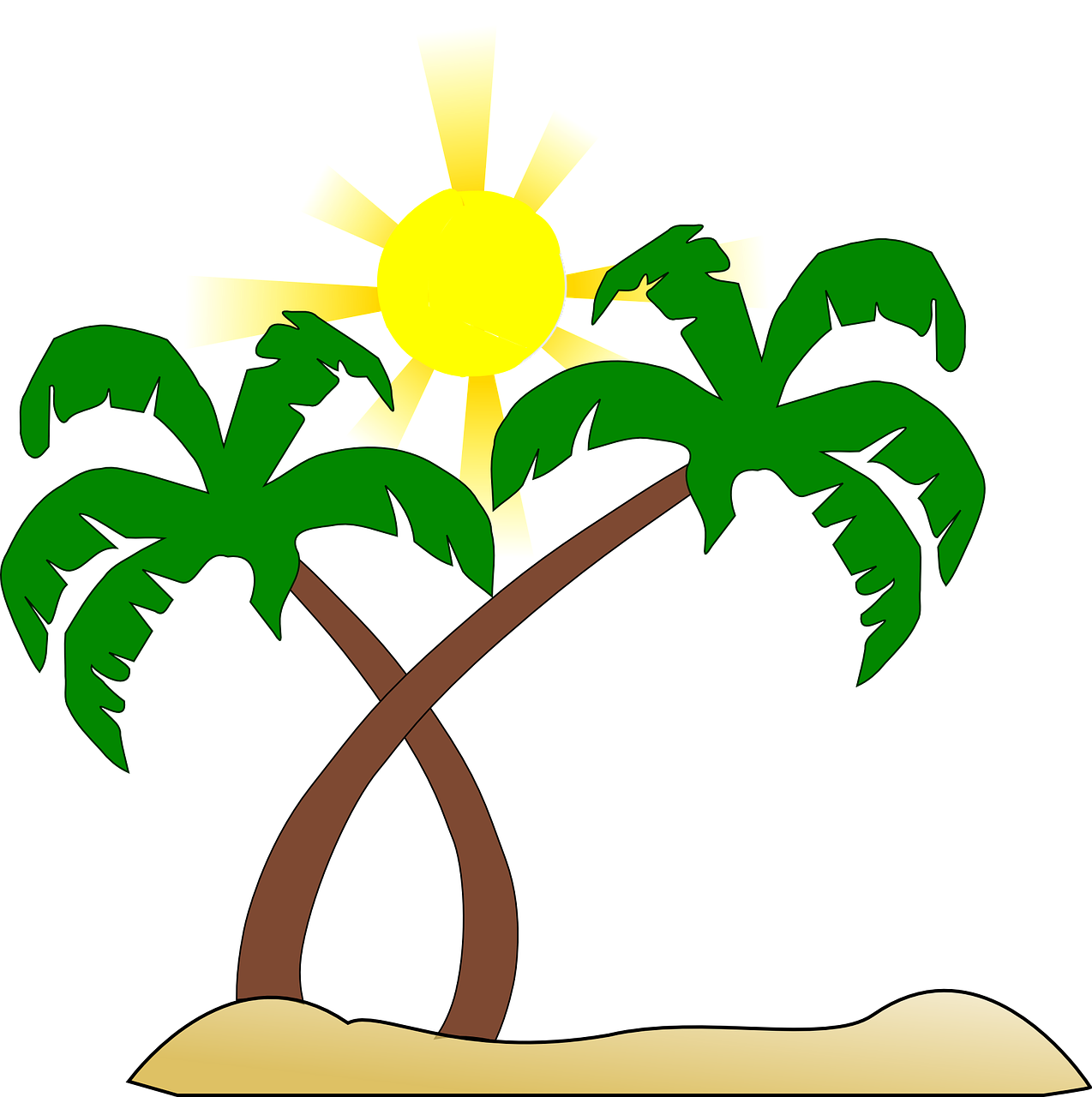 beach palm tree sun free photo