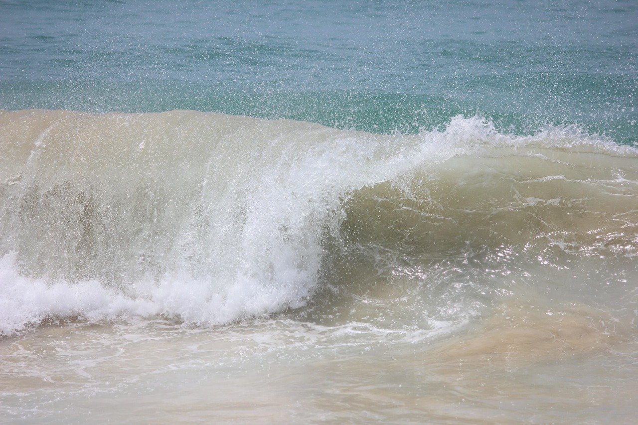 beach atlantic waves free photo