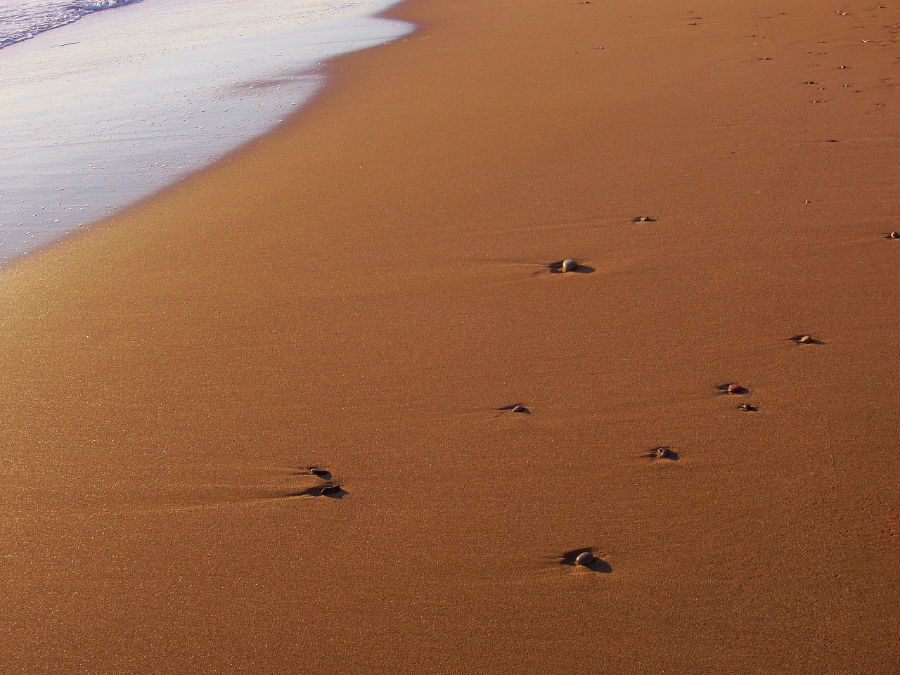 beach sand water free photo