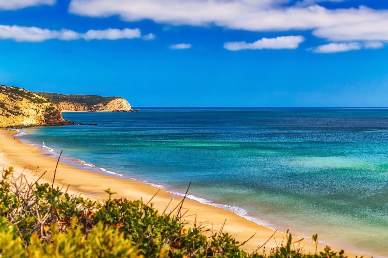 beach water sand free photo