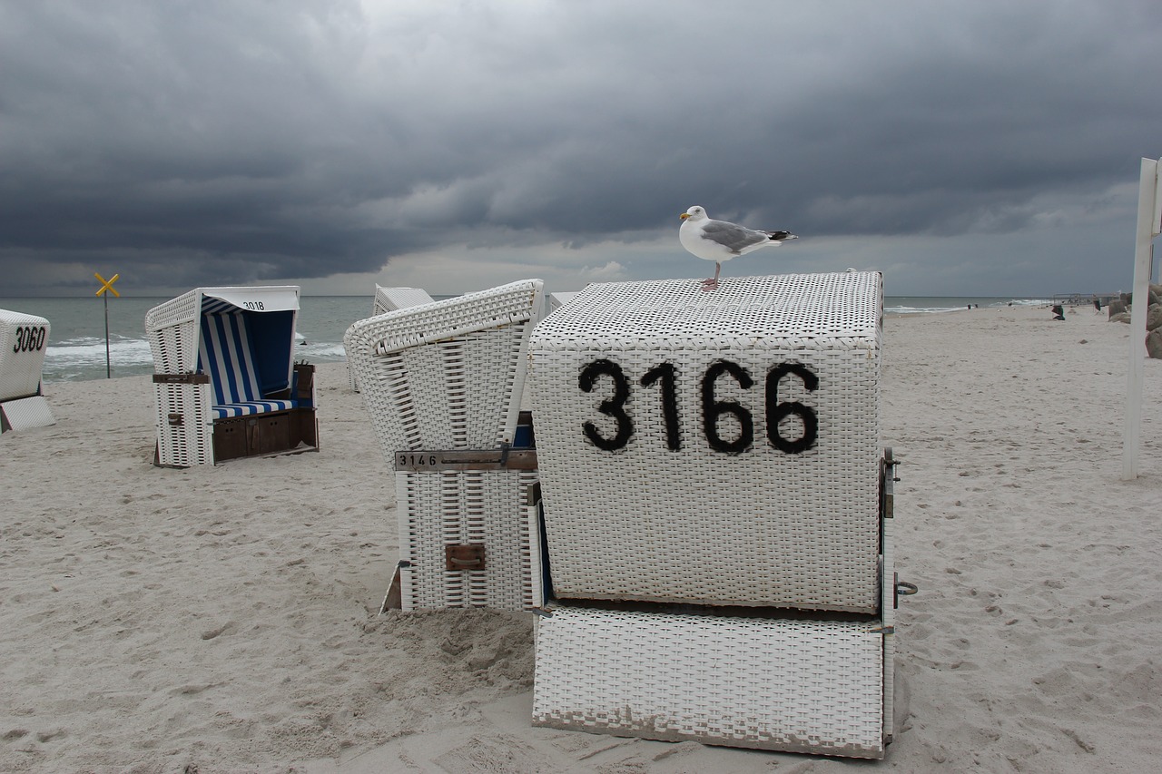 beach sand sea free photo