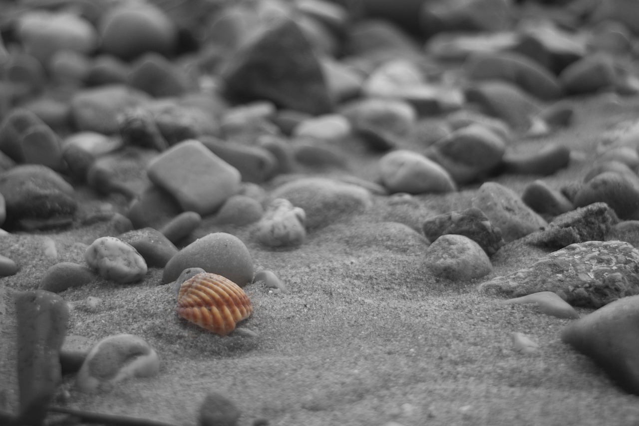 beach sand side free photo