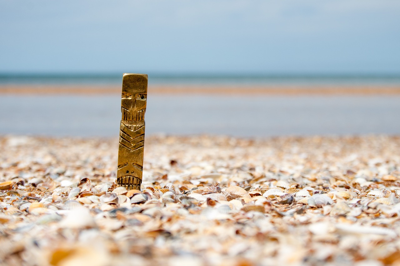 beach sea sand free photo