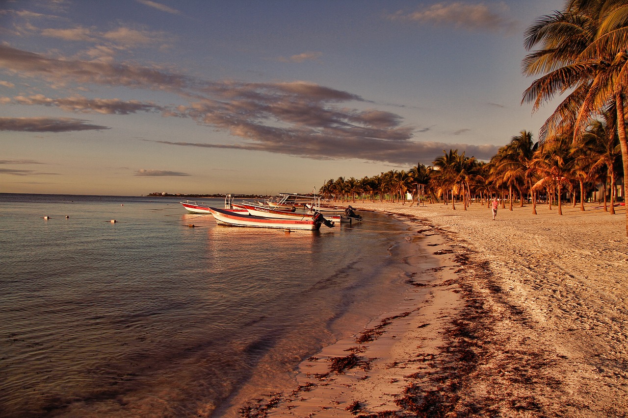 beach water sunset free photo