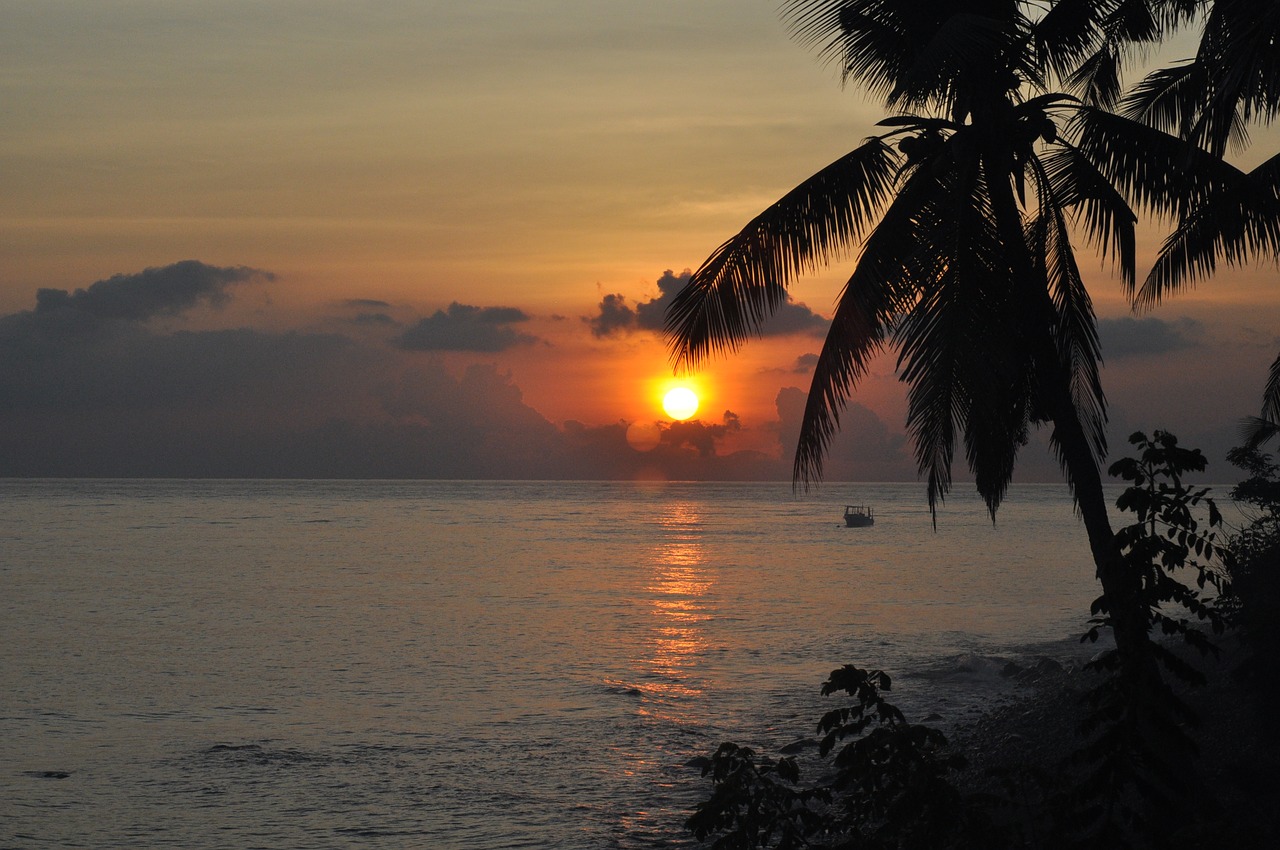 beach sunset waters free photo