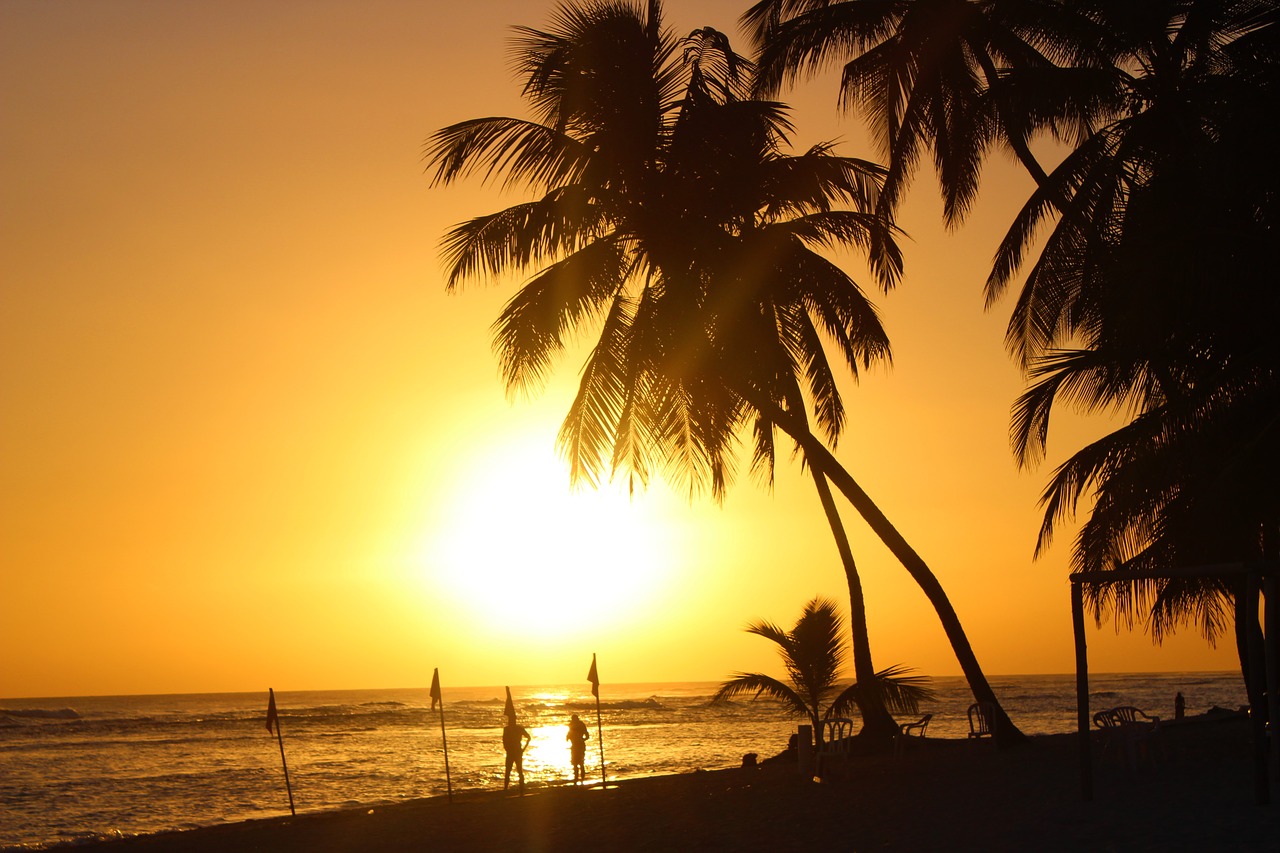 beach sunset sun free photo