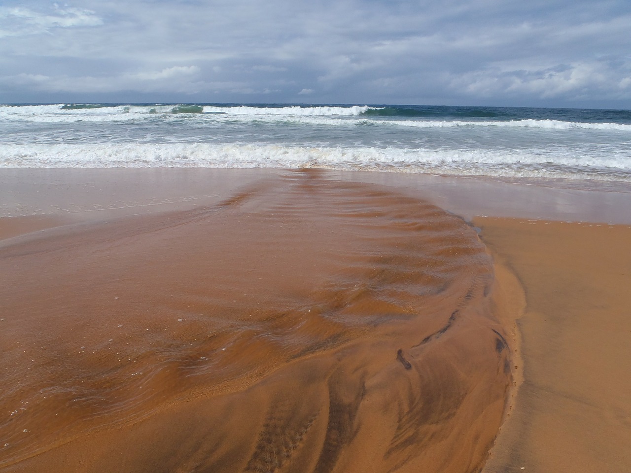 beach sydney beach australia free photo