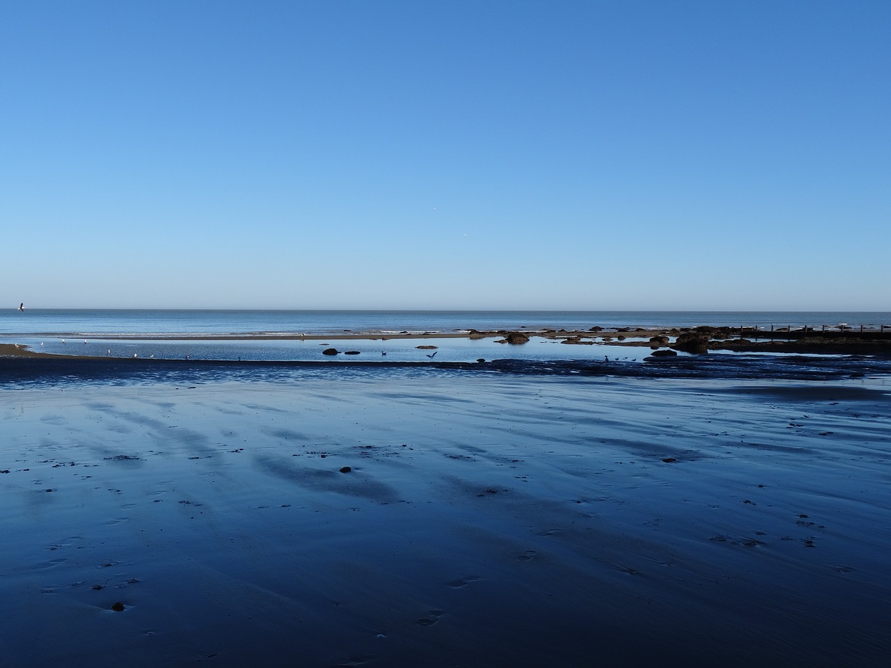 beach shore ocean free photo