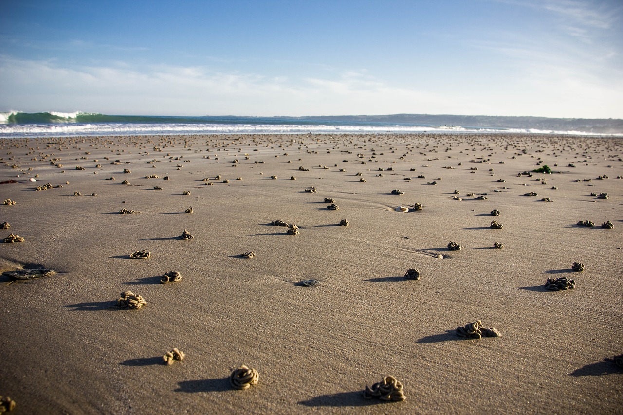 beach sand coast free photo