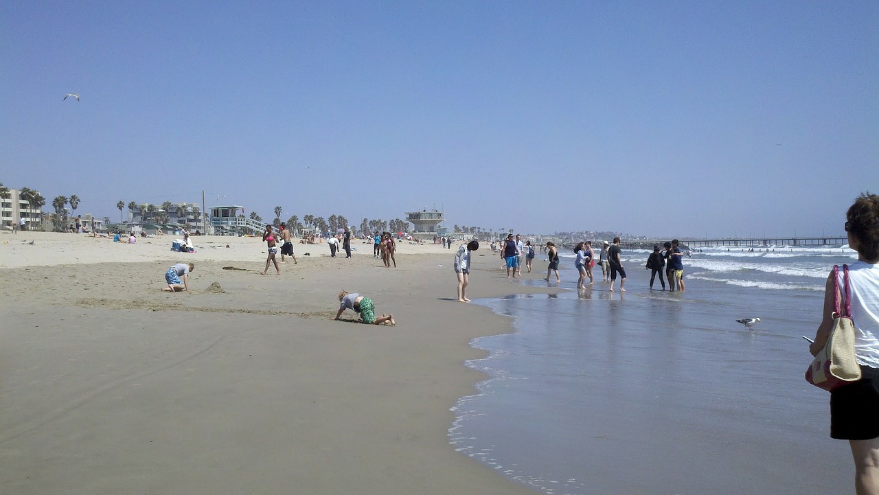 beach california pacific free photo