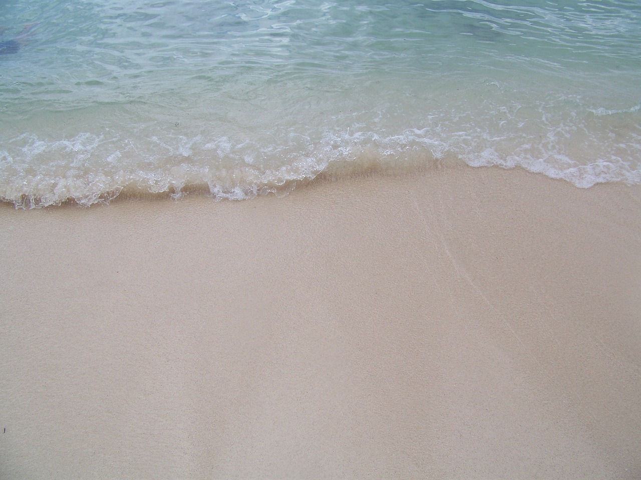 beach waves ocean free photo