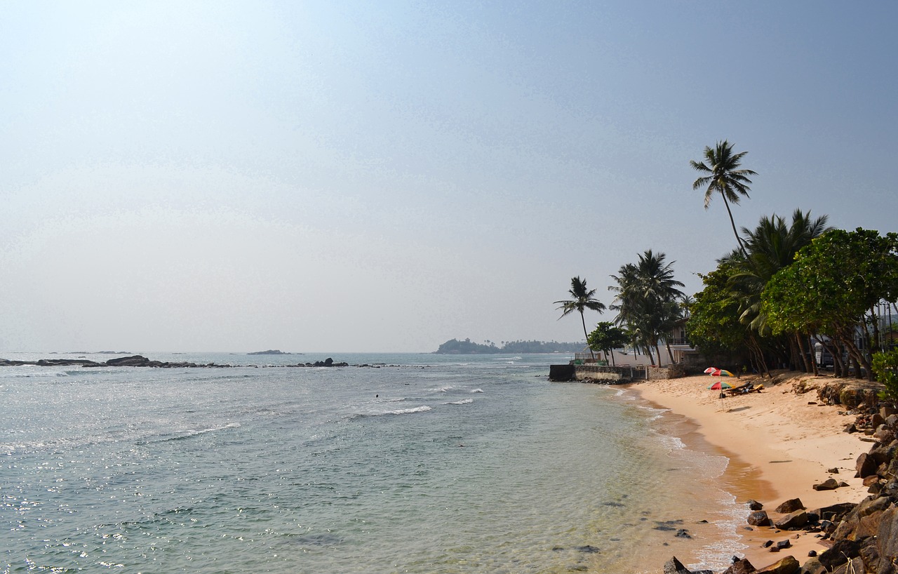 beach  sand  water free photo