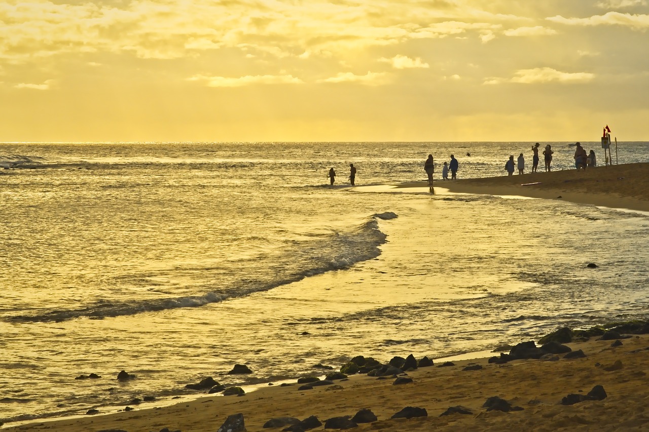 beach  sunset  ocean free photo