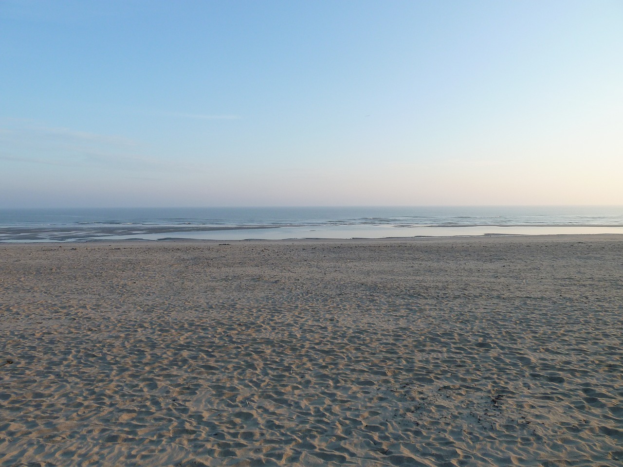 beach  north sea  sand free photo