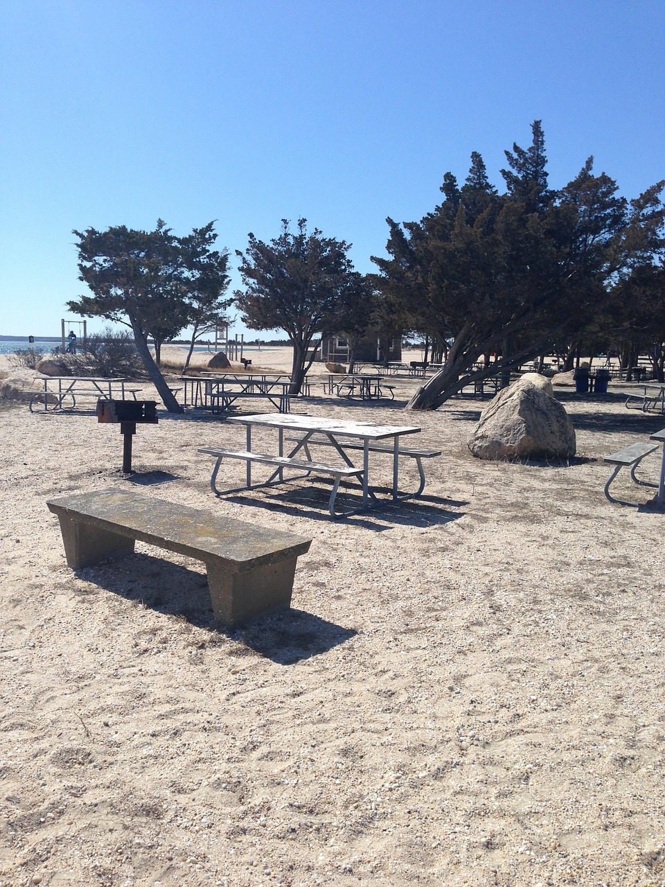 beach sea picnic free photo