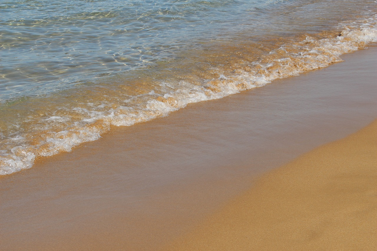 beach  sand  coast free photo