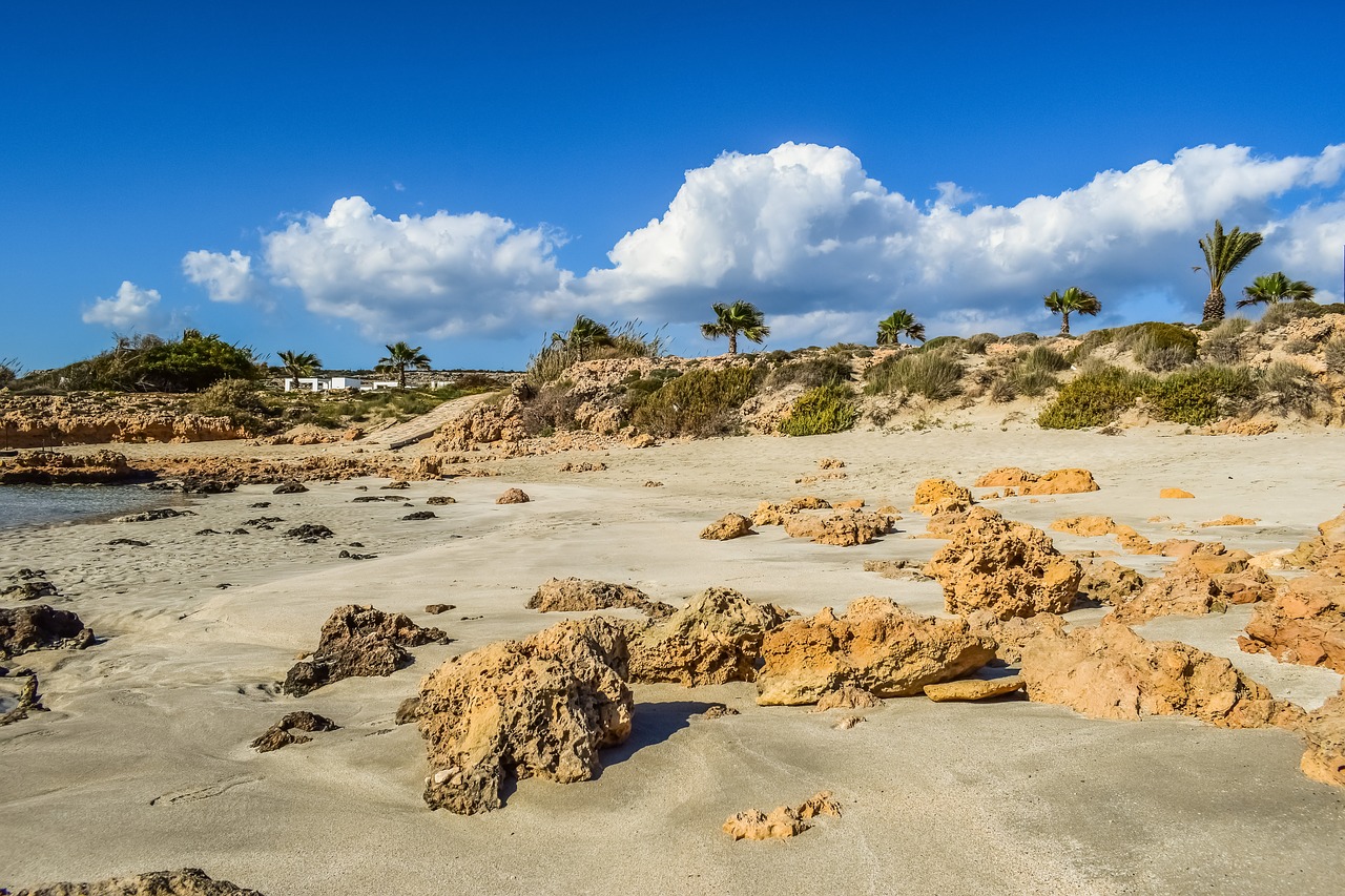 beach  sand  nature free photo