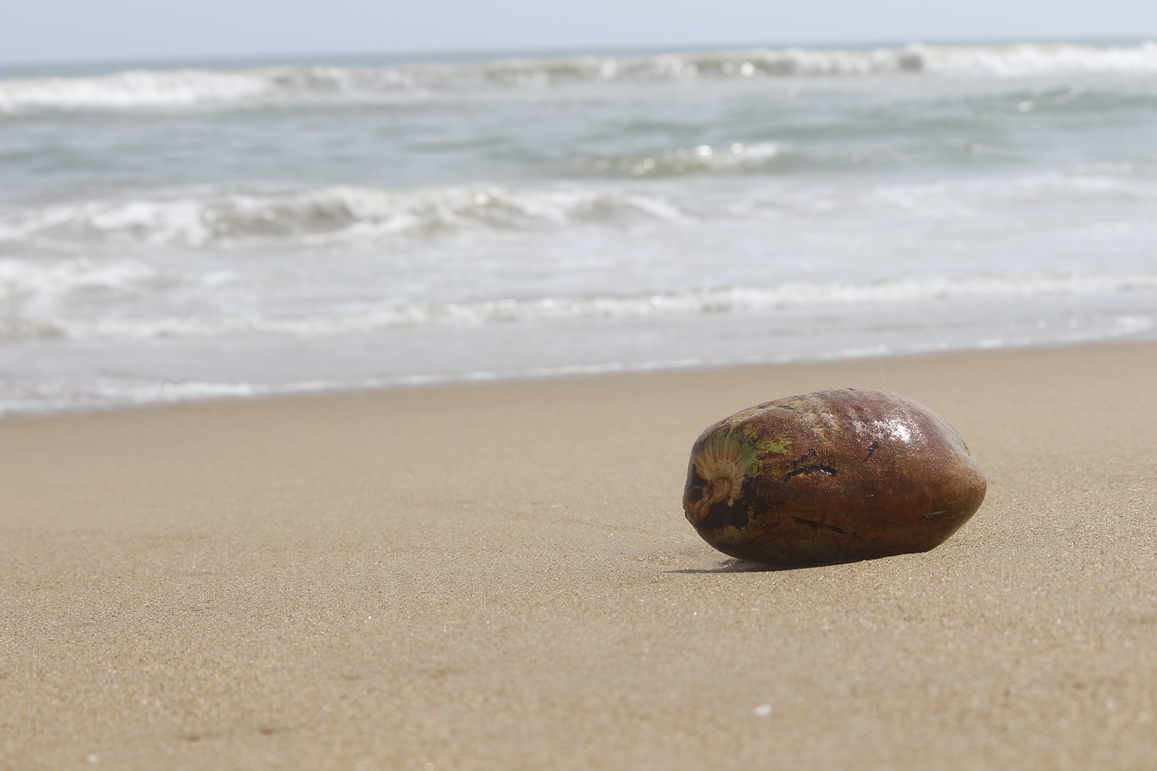 beach  sand  sea free photo