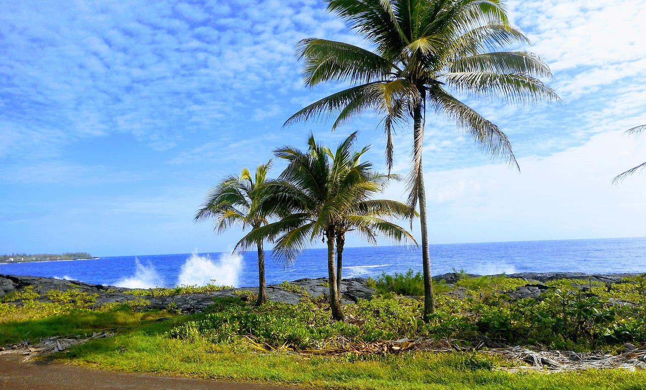 beach  side  sand free photo