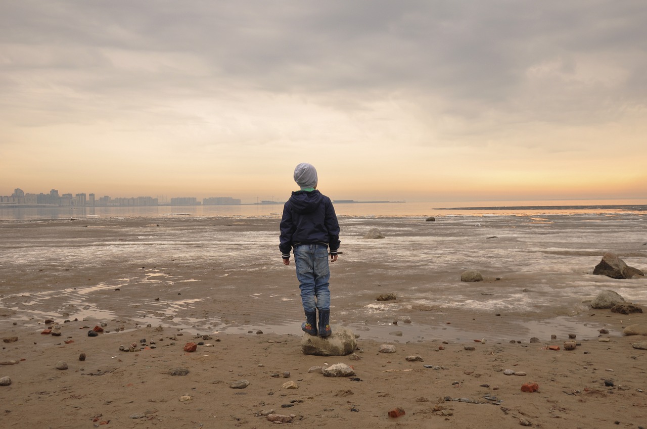 beach  sea  sand free photo