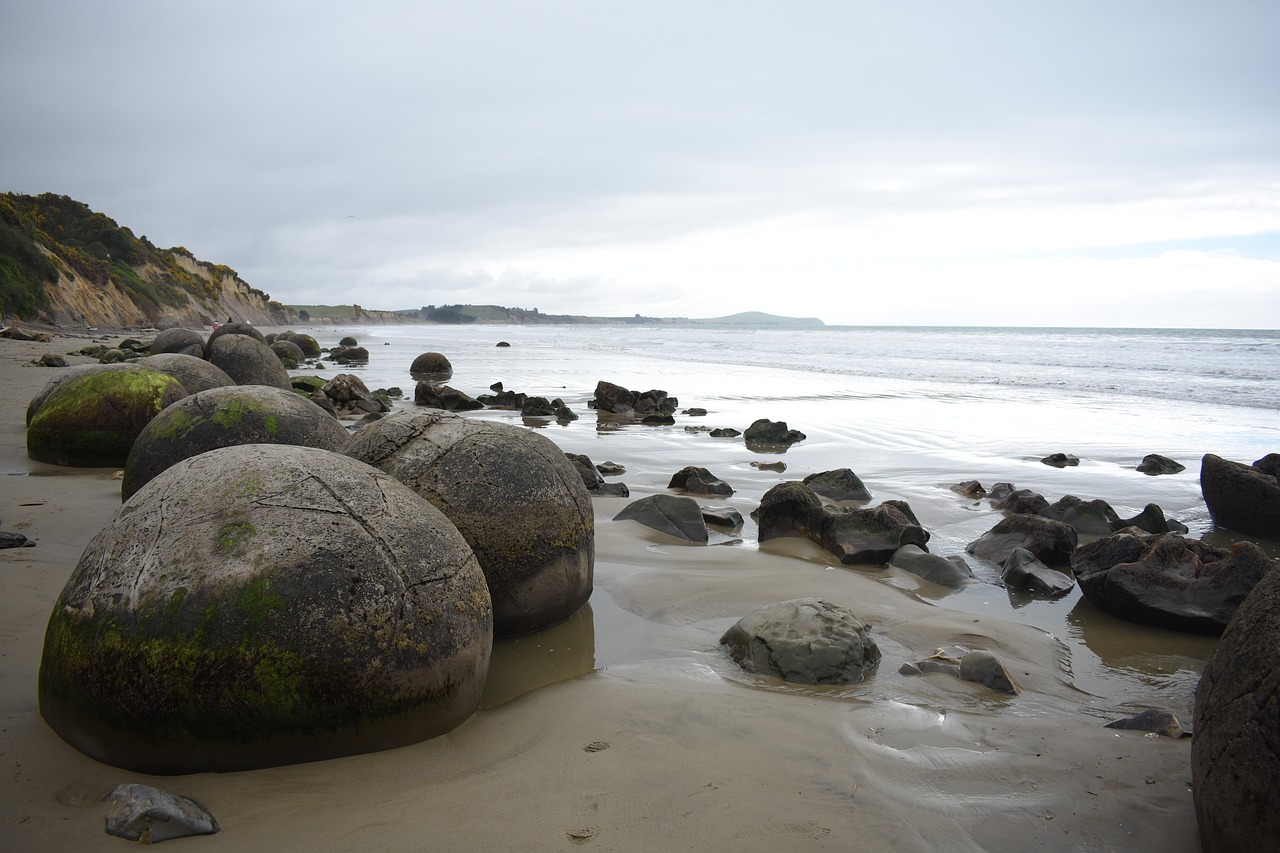 beach  seashore  sea free photo