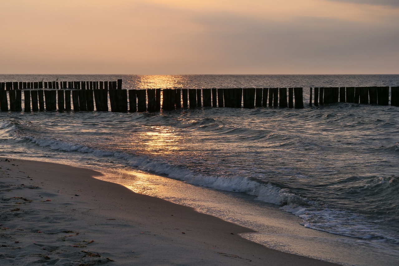 beach  sea  waters free photo