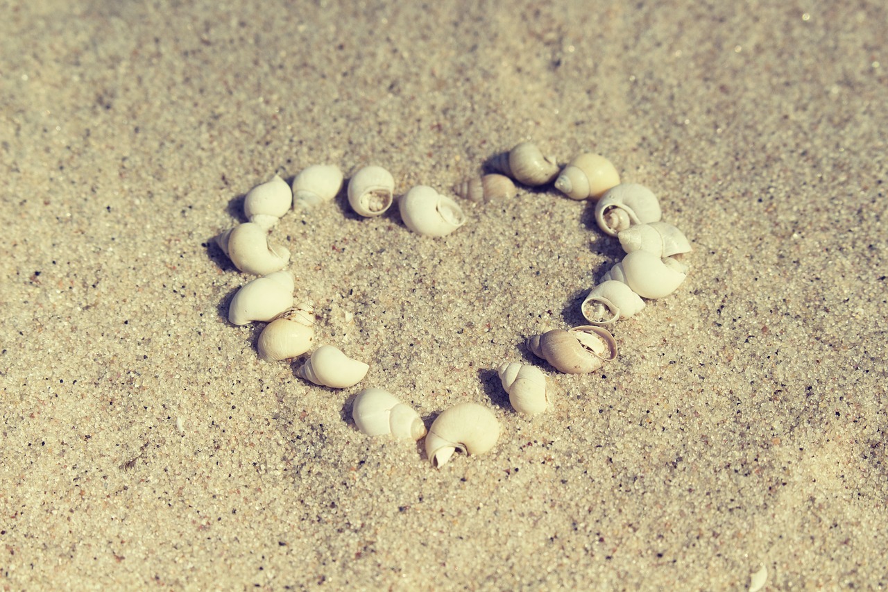 beach  sand  the coast free photo