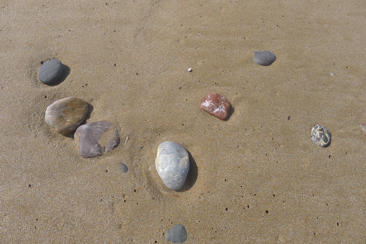 beach  sand  the coast free photo