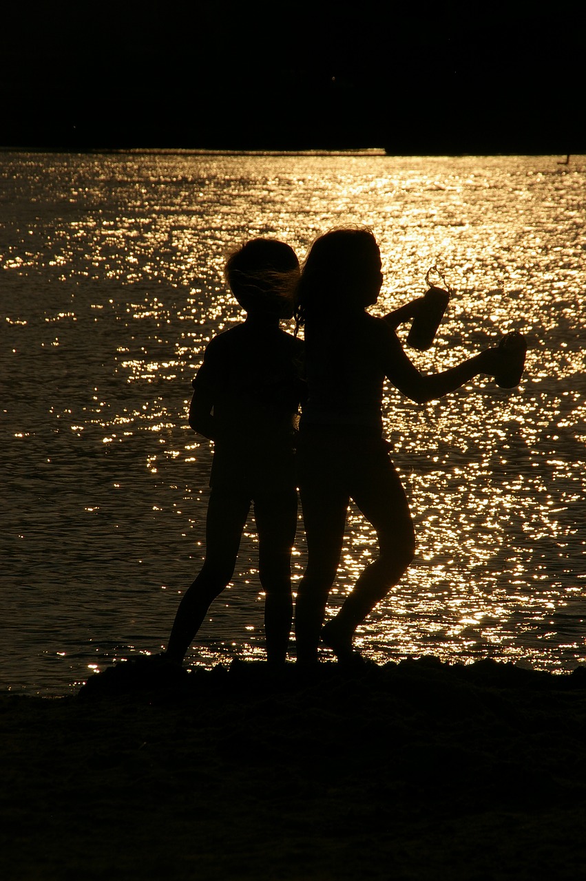 beach  silhouette  two free photo