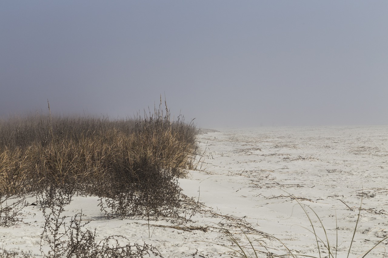 beach  sand  ocean free photo